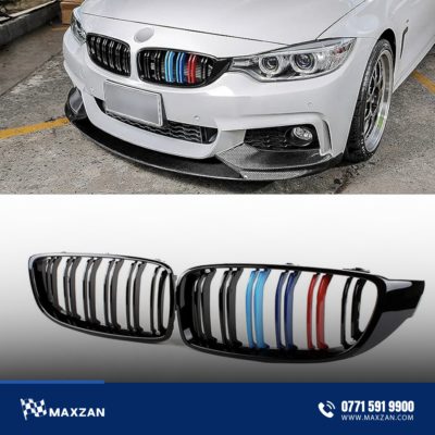 BMW 4 Series Grill